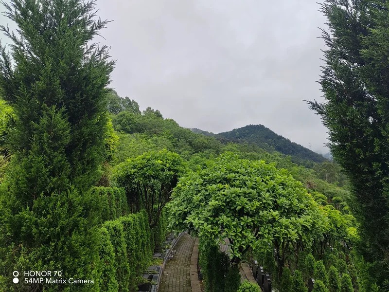 thumb_IMG_20230422_100516