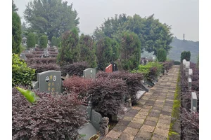 北碚区龙居寺塔陵园